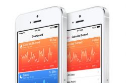 ƻ����ʼ��Ƹ����ҵ���۸߹� ��IBM�������н�չ